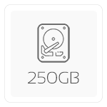 250 GB M.2 PCIe NVMe SSD (Seq. Lees: 2900 MB/s, Schrijf: 1300 MB/s)
