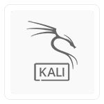 Kali Linux 2021.3 (64-bit)